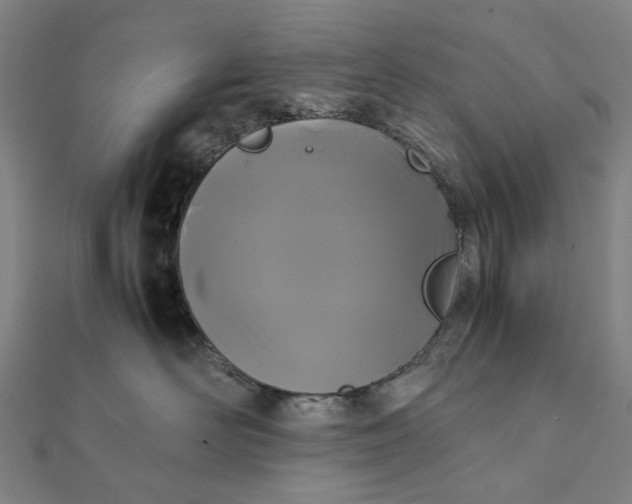 X0000112070526200908181223