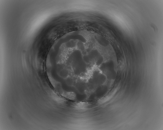 X0000112070527200908181223