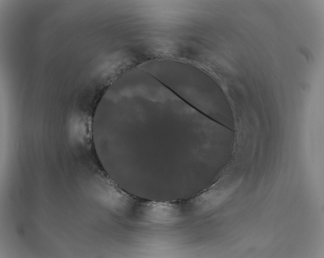 X0000112070528200908181223