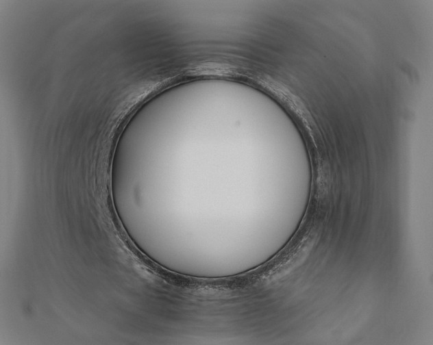 X0000112070529200908181222