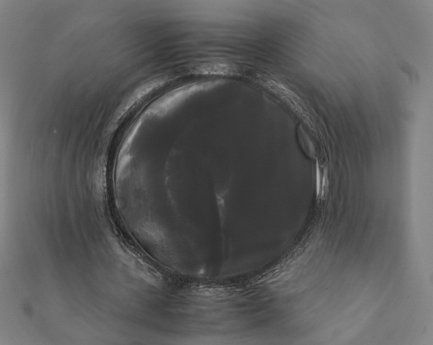 X0000112070531200908181222