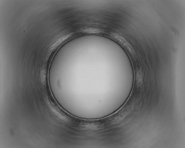 X0000112070533200908181222