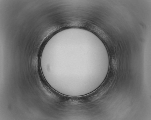 X0000112070534200908181222