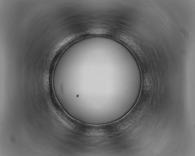 X0000112070535200908181222