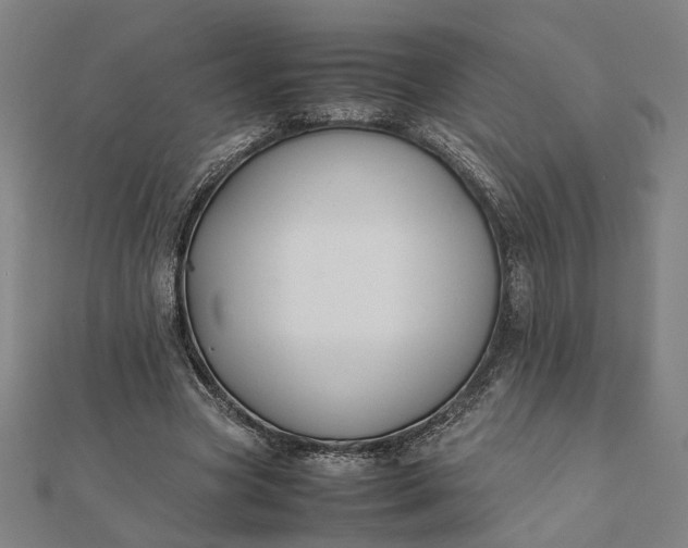X0000112070537200908181222
