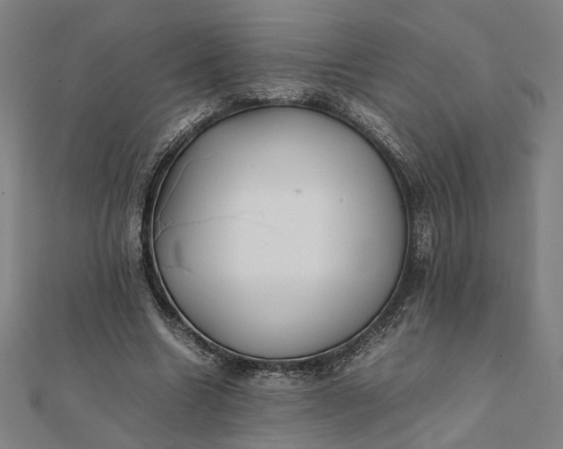 X0000112070538200908181222