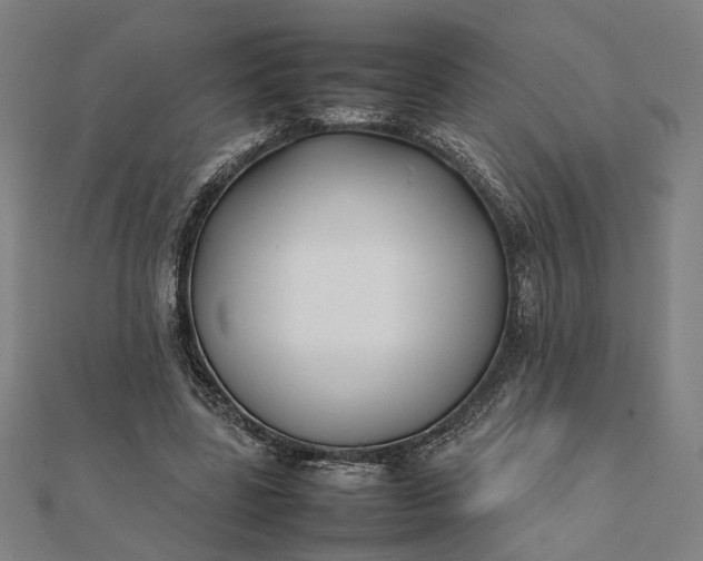 X0000112070539200908181222