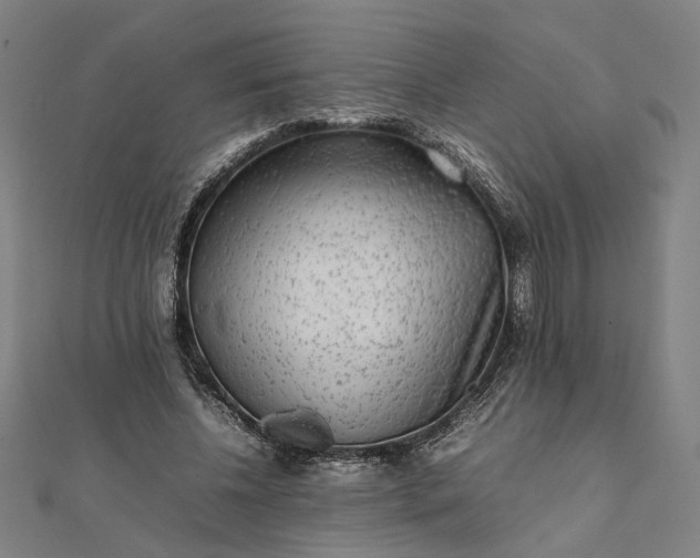 X0000112070540200908181222