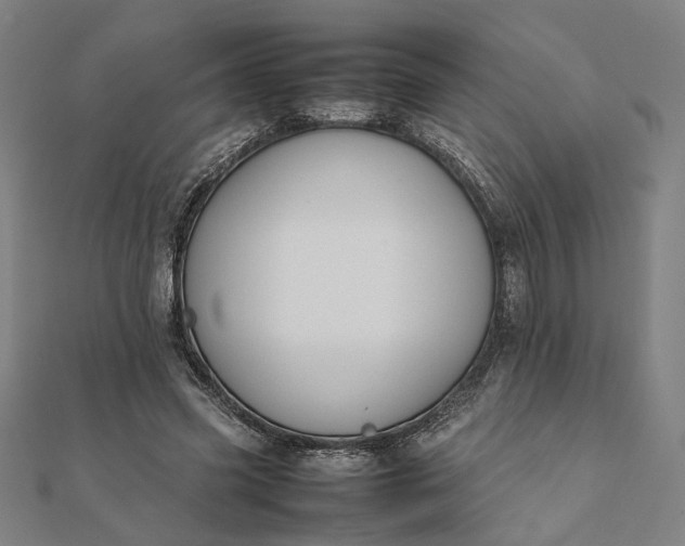 X0000112070541200908181222