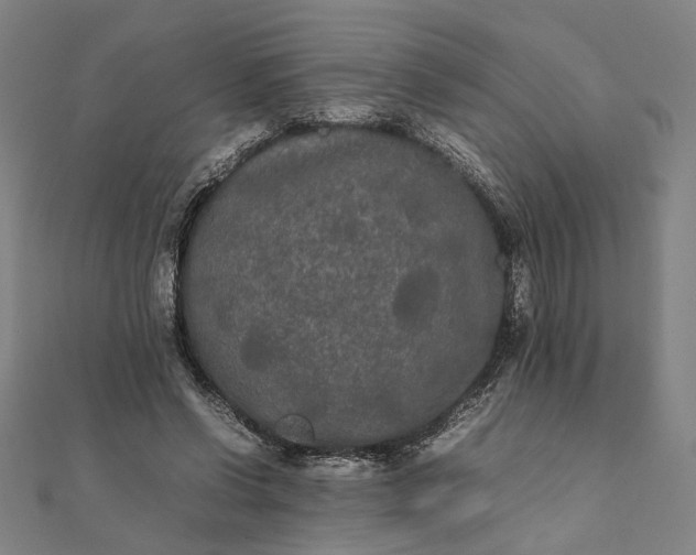 X0000112070542200908181222