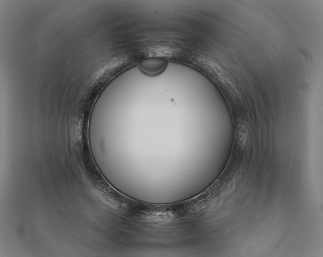 X0000112070543200908181222