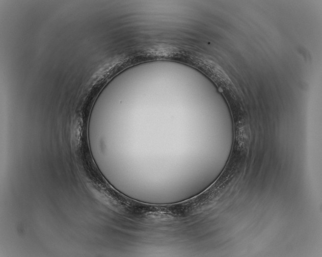 X0000112070544200908181222