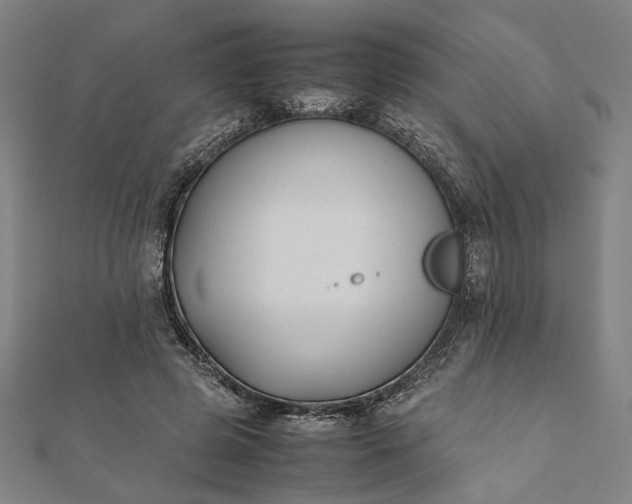 X0000112070545200908181222