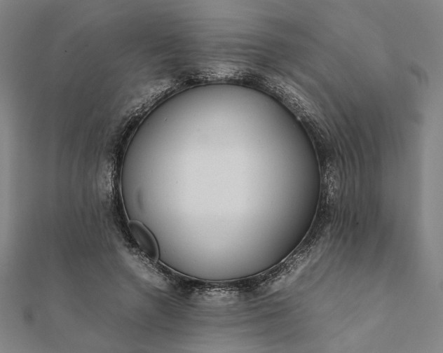 X0000112070546200908181222