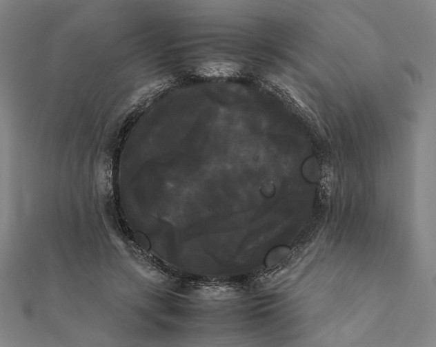 X0000112070547200908181222
