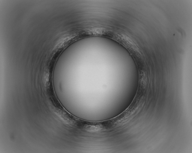 X0000112070548200908181222