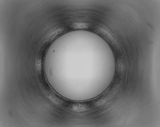 X0000112070549200908181222