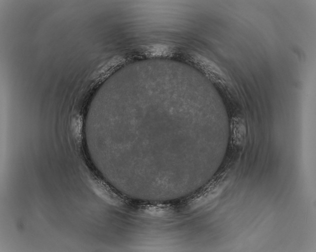 X0000112070550200908181222