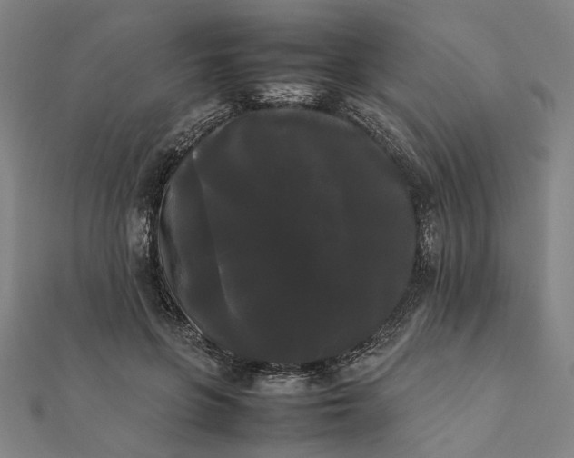 X0000112070551200908181222