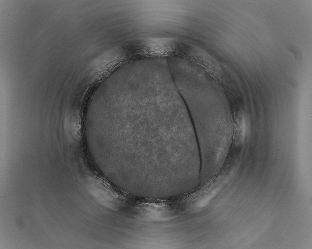 X0000112070552200908181222