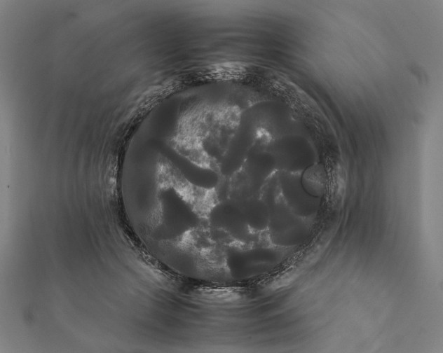 X0000112070553200908181222