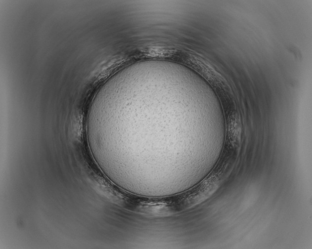 X0000112070554200908181222