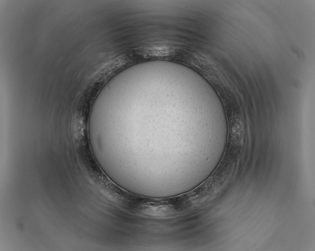 X0000112070555200908181222