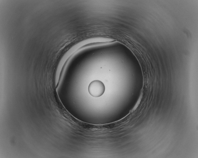 X0000112070556200908181222
