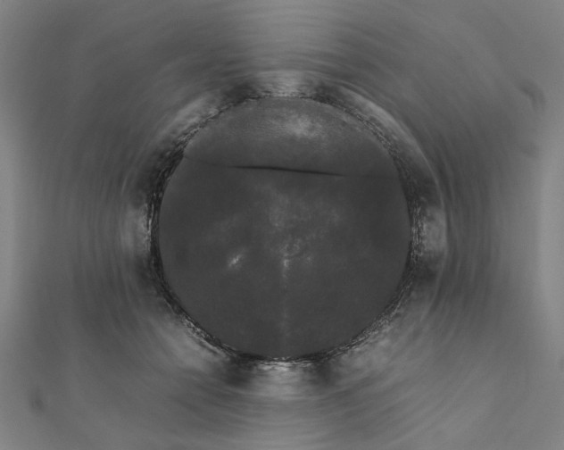 X0000112070558200908181222