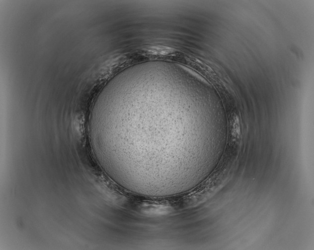 X0000112070559200908181222