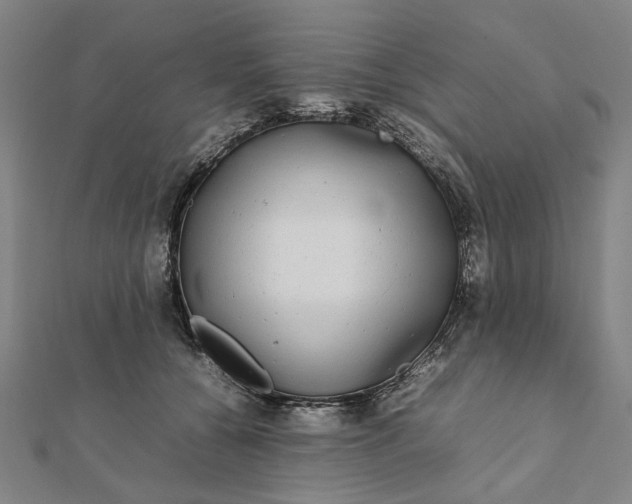 X0000112070560200908181222