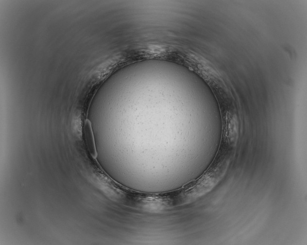 X0000112070562200908181222