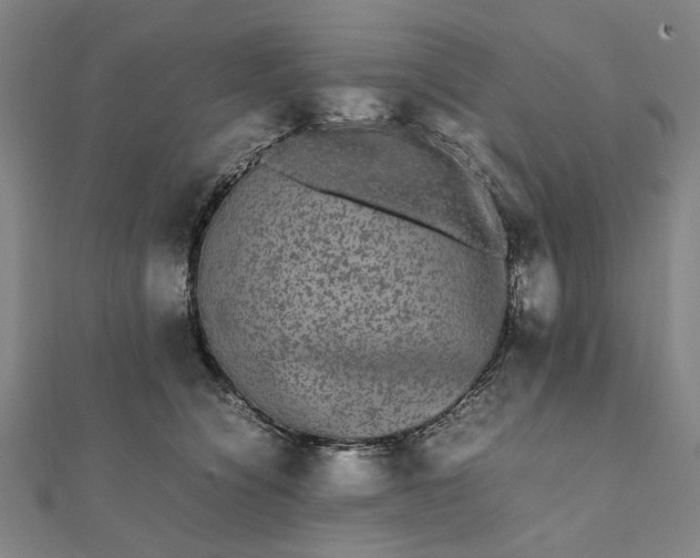 X0000112070564200908181223