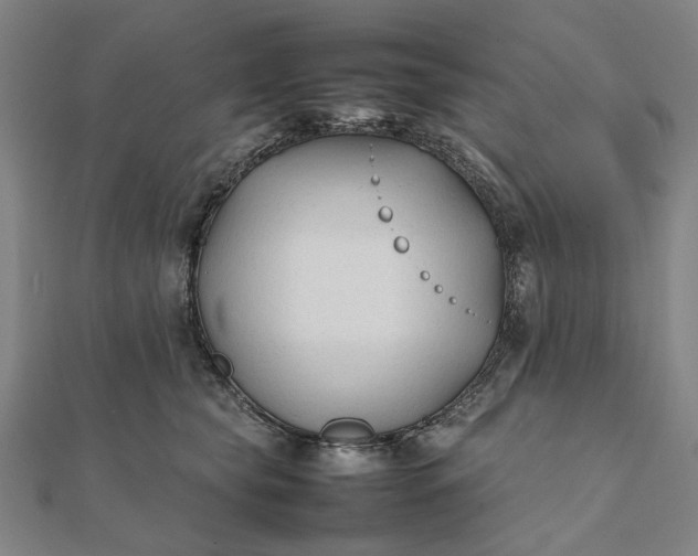 X0000112070565200908181223
