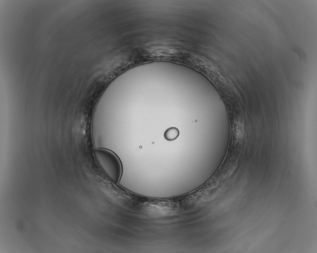 X0000112070567200908181223