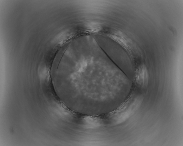 X0000112070568200908181223