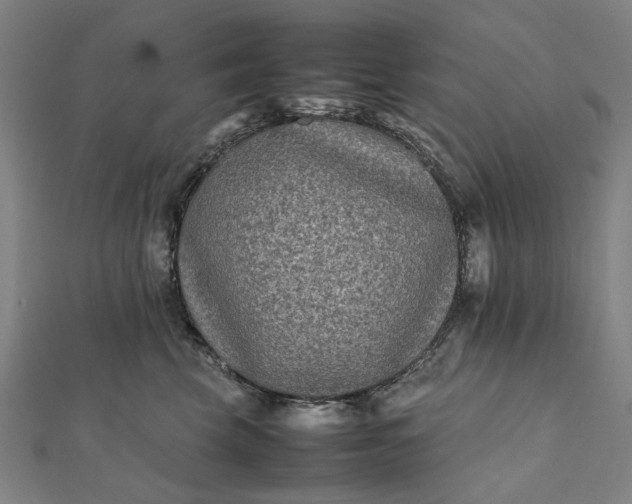 X0000112070569200908181223