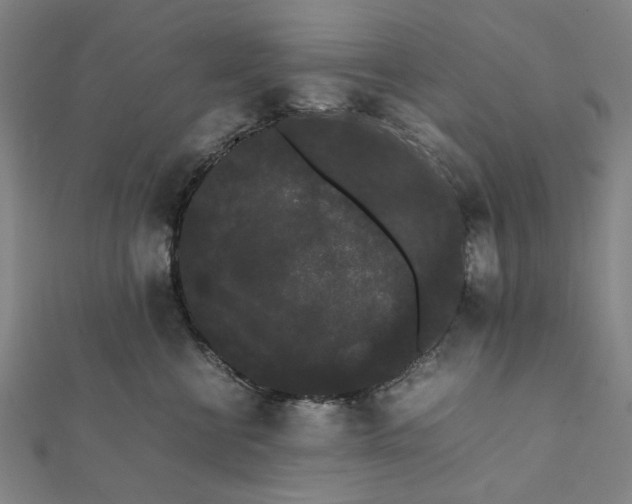 X0000112070570200908181223