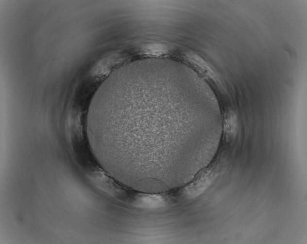 X0000112070572200908181223