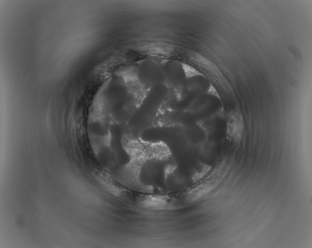 X0000112070573200908181223