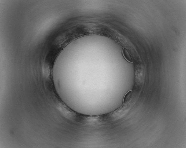 X0000112070574200908181223