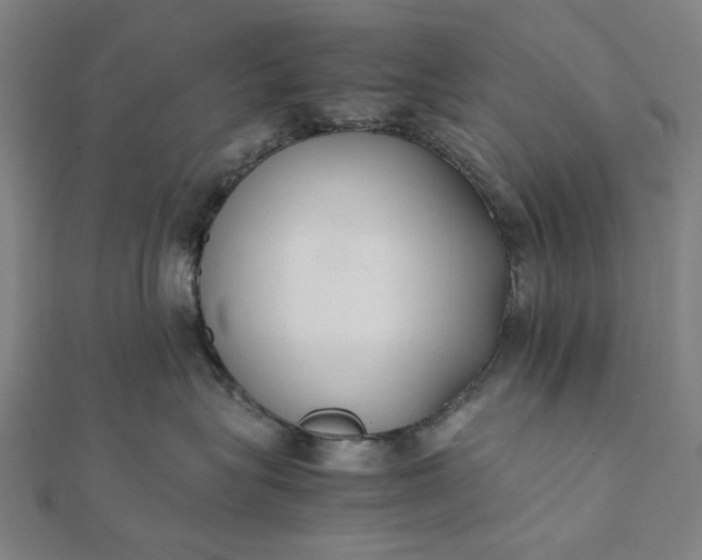 X0000112070575200908181223