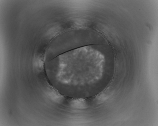 X0000112070576200908181223