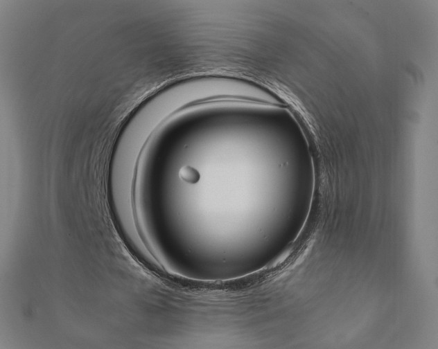 X0000112070577200908181222