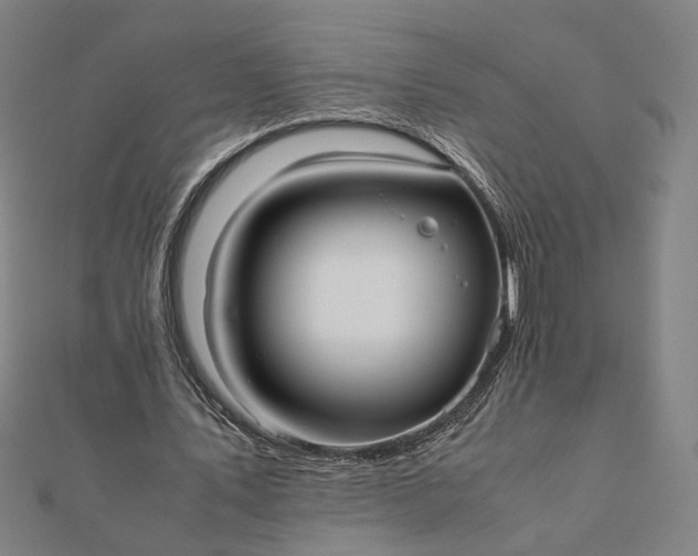 X0000112070579200908181222