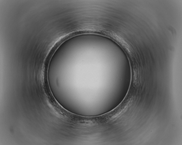 X0000112070580200908181222