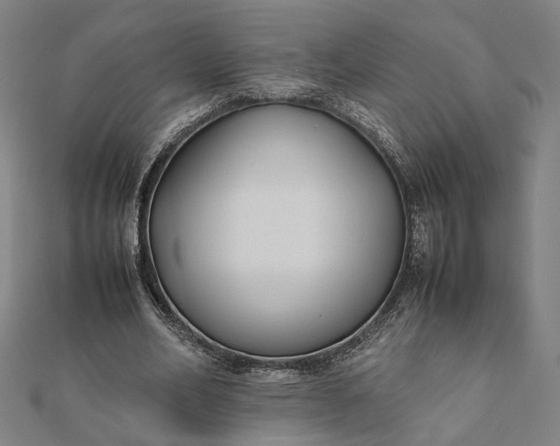 X0000112070582200908181222