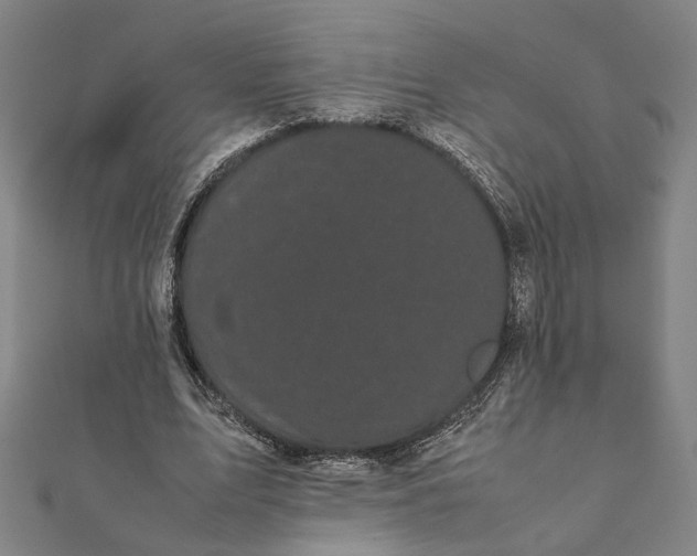 X0000112070583200908181222