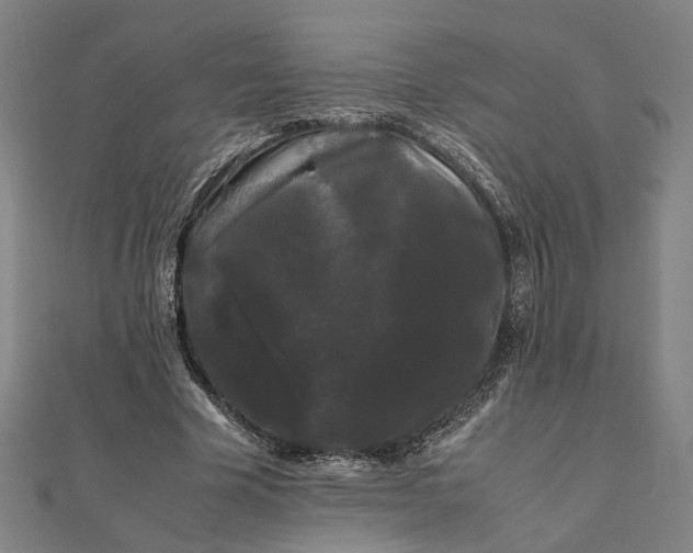 X0000112070585200908181222