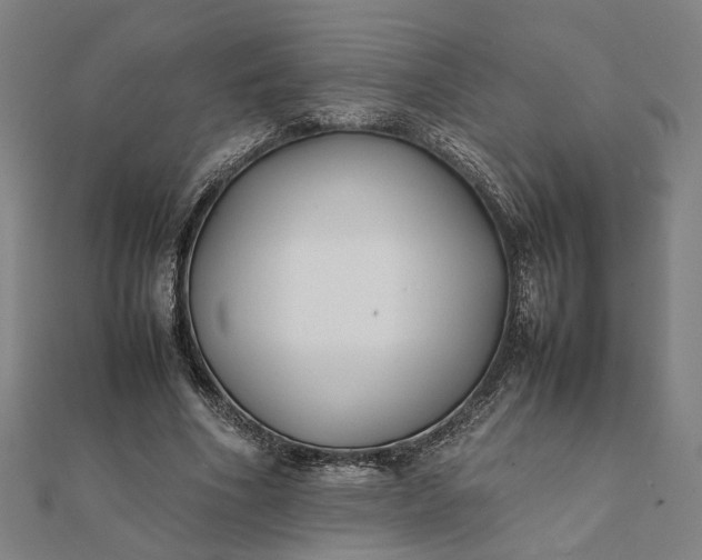 X0000112070586200908181222